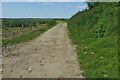 Track to New Jersey Farm in CB11 4NW