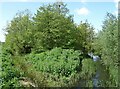 River Waveney upstream from Stuston Bridge in IP22 4EW