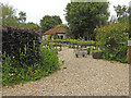 Blackberry Farm Nursery near Dereham in NR19 2QE