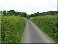 The lane to Ramsdale Cottage in Gedling District (B)