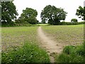 Footpath across the field leaving Thorndale Plantation in NG25 0SQ