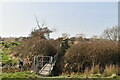 Footbridge, Horsemarsh Sewer in TN26 2LE