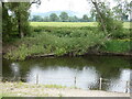 River Vyrnwy close to the Shropshire Way path in SY22 6LQ