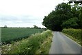 Lane passing wheat fields in HG5 0SU