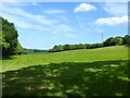 Northgate Field in Burwash & the Weald Ward