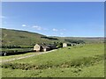 Farm buildings at Dyke Heads in DL11 6LE