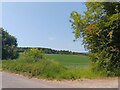 Field north of North Standen Road in RG17 0GX