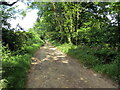 Llwybr ceffyl ger Llanhuadain / Bridleway near Llawhaden in SA67 8DS