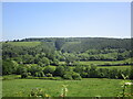 Valley near Green Farm in LD7 1NA