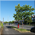 Roose Road (A5087), Barrow-In-Furness in LA13 9HW