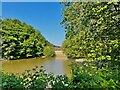 Pond at The Roos in CB11 3JS