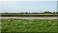 Houses behind River Great Ouse embankment in PE34 3BB