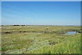Saltmarsh by Ray Creek in CO16 8EU
