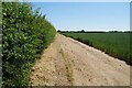 Footpath 7 St Osyth in CO16 8RX