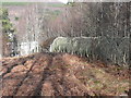 Pipeline to Tummel Bridge power station in PH16 5SB