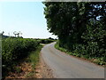 Country lane, Isle Brewers in TA3 6RY