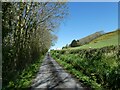 Looking to the edge of Llanfarian along cycle route NCN81 in Llanfarian Community
