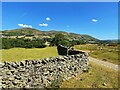 Drystone wall in Sedbergh and Kirkby Lonsdale Ward