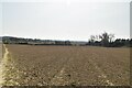 Farmland by footpath in TN26 3SN