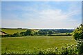 Bratton Fleming : Grassy Field in EX31 4SQ