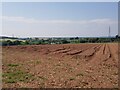 Ploughed field near Bluntington, Worcestershire in DY10 4NR