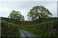 High banks, neat hedges, north of Dolfor in SY23 4HU