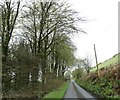 Road on southern flank of Gaer Fawr in SY23 4SH