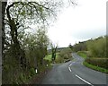 Minor junction and minor bridge on A485 north of Moelwyn in SY23 4TA