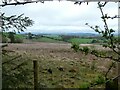 Moorland north-east of Bwlch y Geuffordd in SY23 4JD