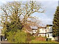 Oak tree and prefabricated housing, Tile Hill Lane in CV4 9BG
