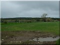 A muddy gateway into grassland south of Bryn-Garw in SY23 4HX