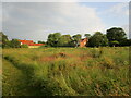 Overgrown field, Welbourn in Welbourn