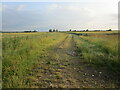 Farm track near Welbourn in Welbourn