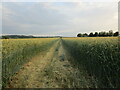 Footpath to Drycote Lane in Welbourn