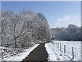 Spring snowfall on the Monarch's Way in WV10 7JE