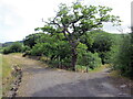 Cyffordd o draciau / Junction of tracks in Blaengwrach Community