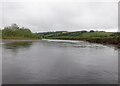 River Earn, Aberdalgie in PH2 9HR