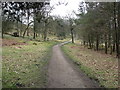 Longshaw Estate - Footpath View in S11 7TY