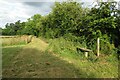 Bench by the bridleway to Cokenach in SG8 8BX