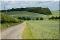 Track and farmland, Langrish in GU32 1RN