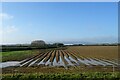 Partially flooded field, Fladbury in WR10 2PE