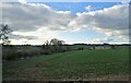 Crop field and hedgerow near Ascott d'Oyley in OX7 6AP