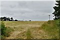 Corpusty: Field after hay has been cut in NR11 6XA