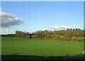 Crop field and woodland south  of Lyneham in OX7 6LR