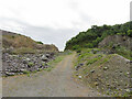 Track up and out of Ellen and Eureka Quarries at Pen-yr-Orsedd in LL54 7BA