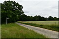 Wood Norton: Foulsham Road in NR20 5BG