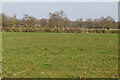Field near Woodchurch in TN26 3TJ