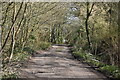 Lane, Great Heron Wood in TN26 2ND