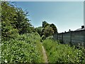 Bridleway on route of former railway in WN1 2LT