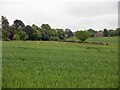 Arable land, Felkirk in S72 9DQ